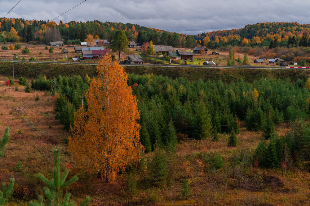 Photograph by Андрей Вешняков