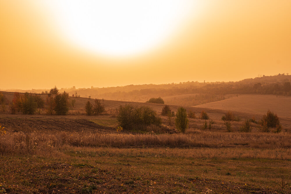 Photograph by Александр Бабаков
