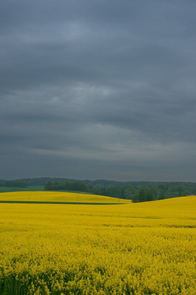 Фотография автора Геннадий Ломеко