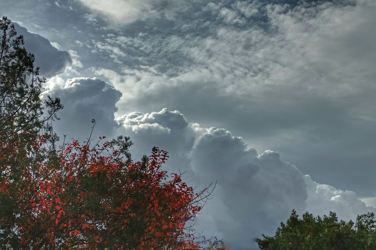 Photo #13791260
