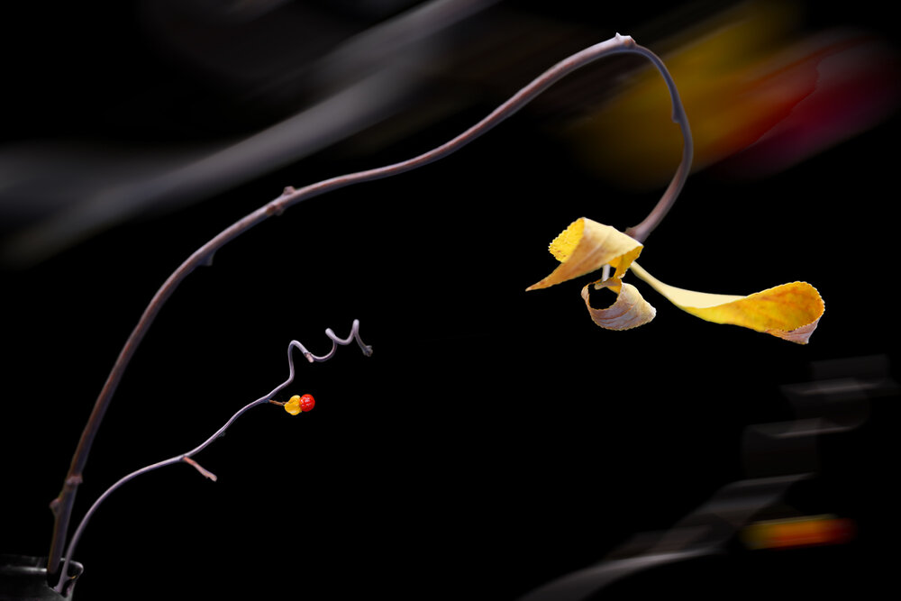 Photograph by T. Bondarenko