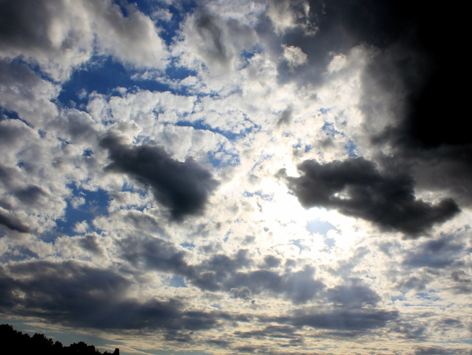 Photo #13791301