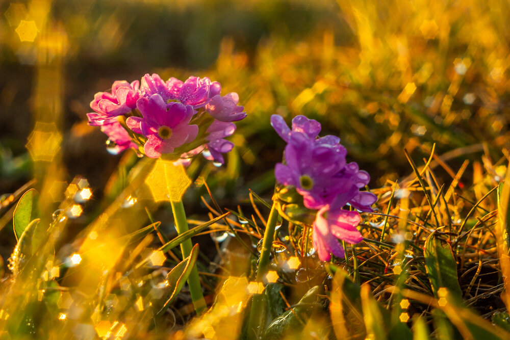 Photograph by Александр Фролов