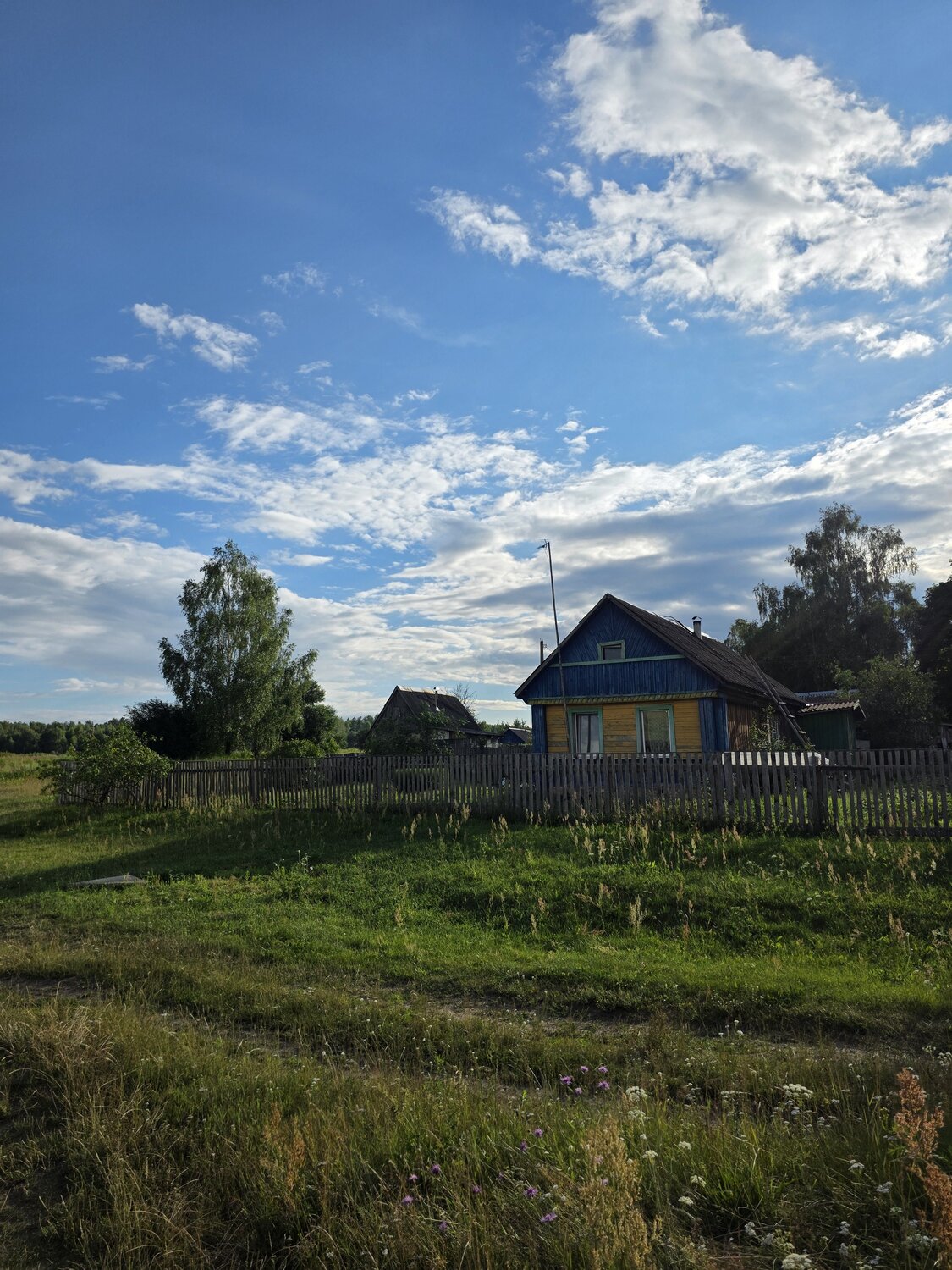 Photo #13791320