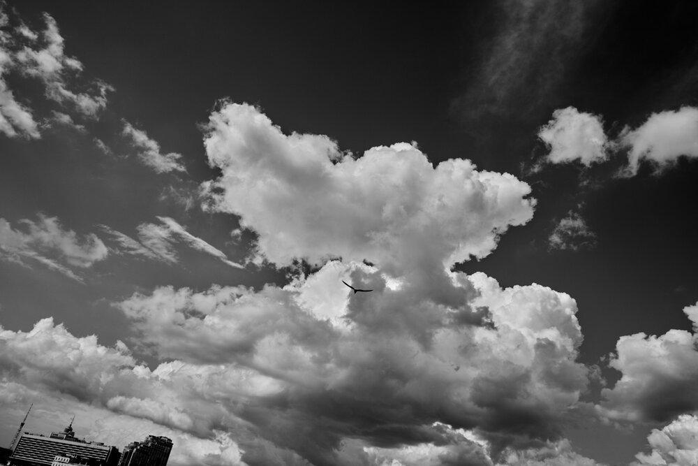 Photograph by Андрей Каёкин