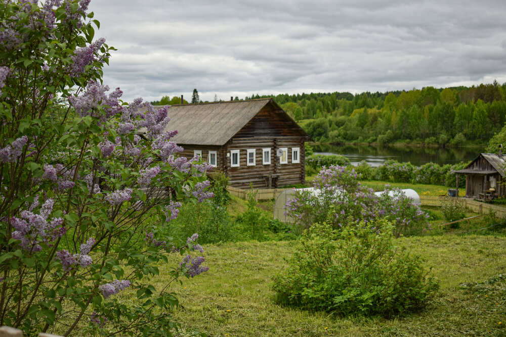 Photo #13791326
