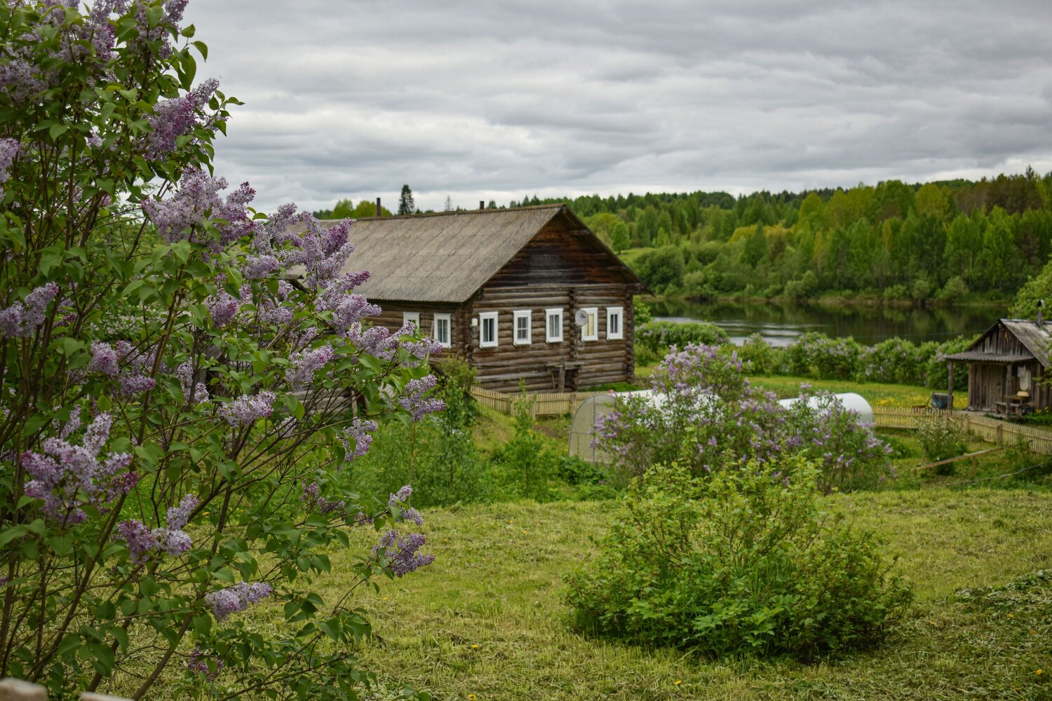 Photo #13791326