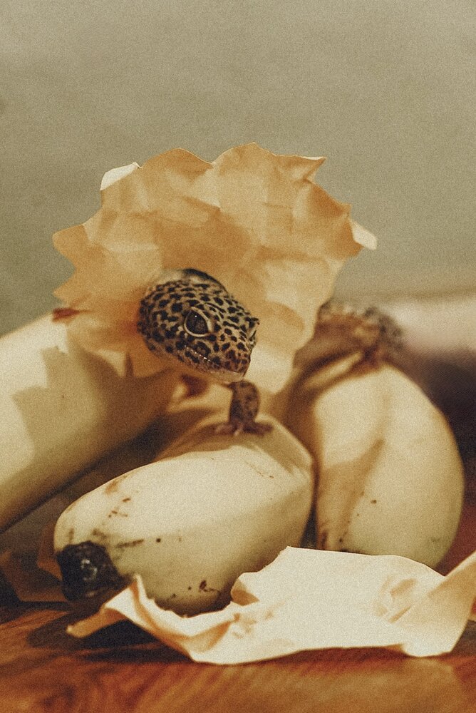 Photograph by Евгения Иванова
