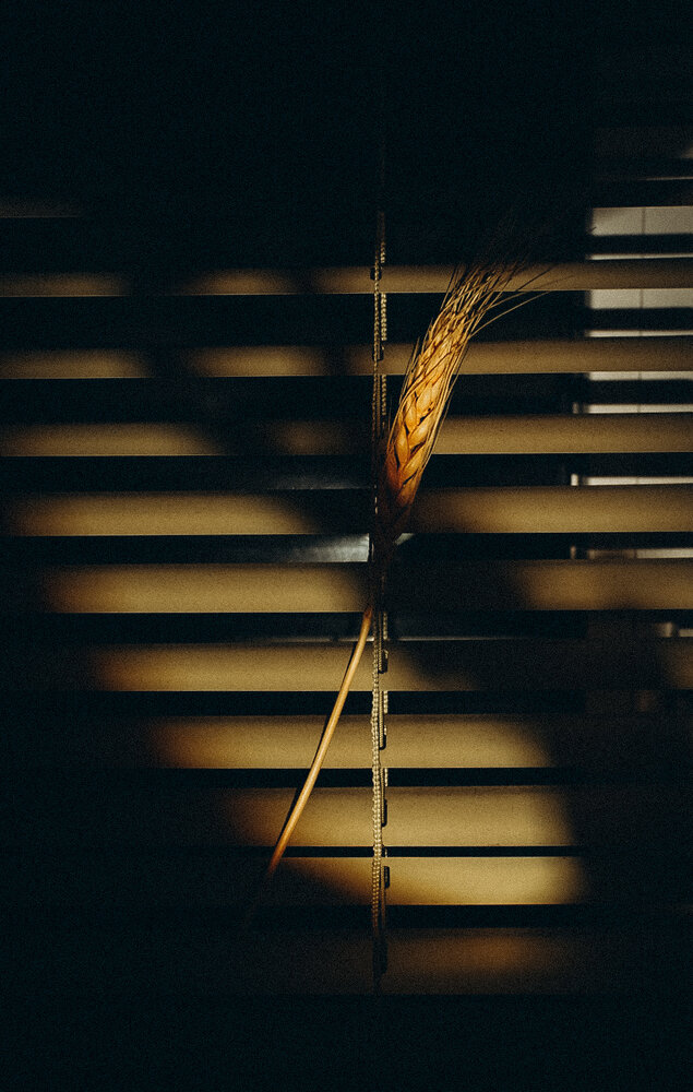 Photograph by Евгения Иванова