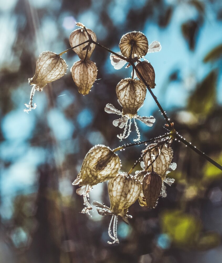 Photograph by Любовь Бусова