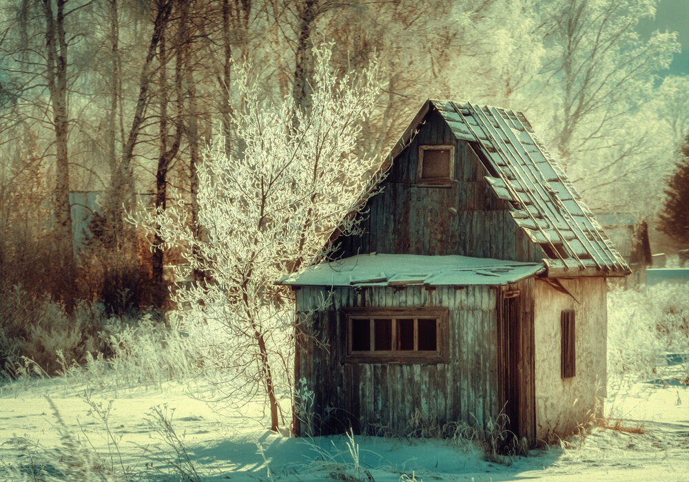 Photograph by Юлия Лушникова