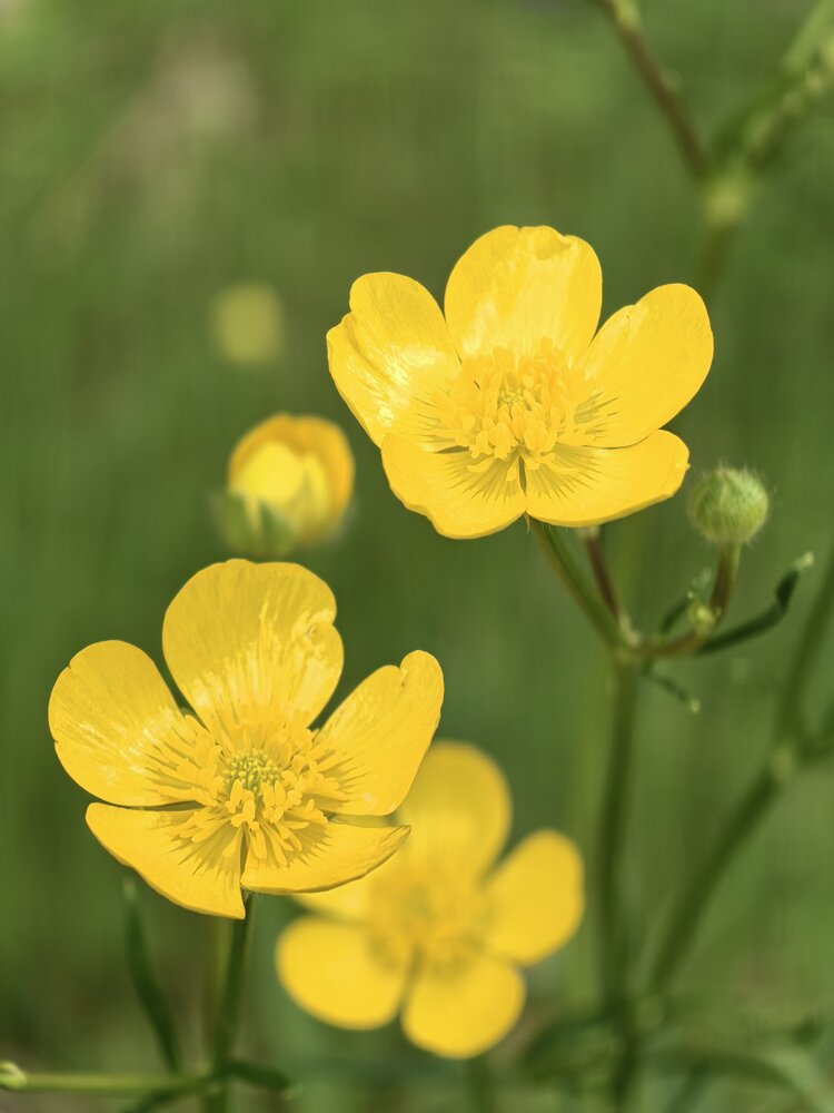 Photograph by Наталия Сметнёва