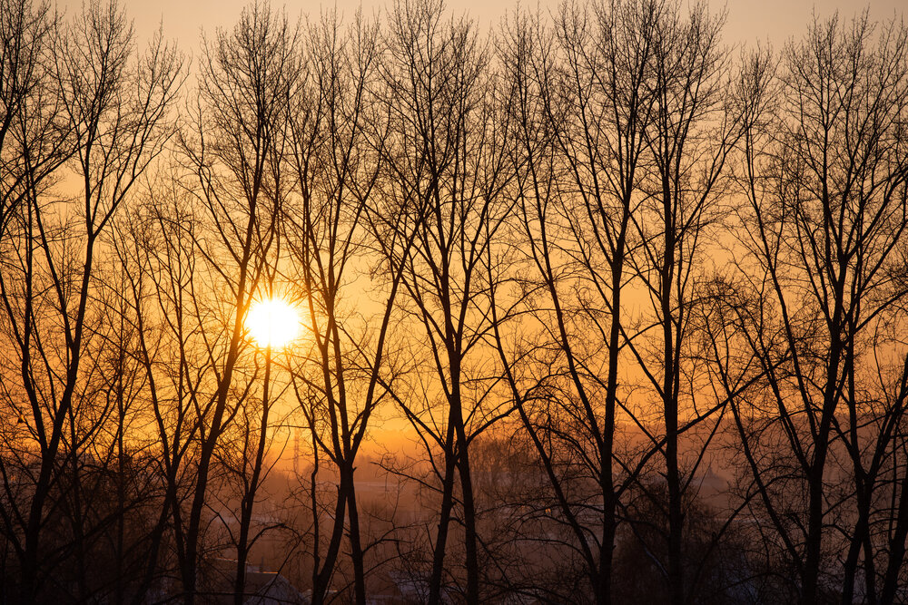 Photograph by Наталия Сметнёва