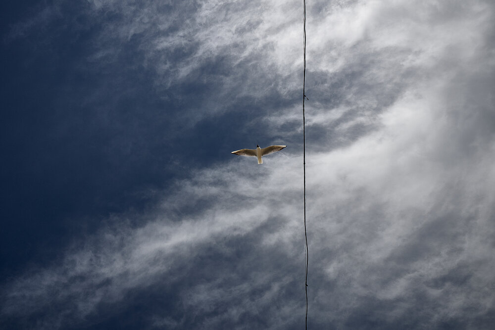 Photograph by Андрей Каёкин