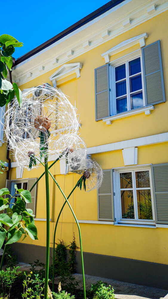 Photograph by Александра Ельникова