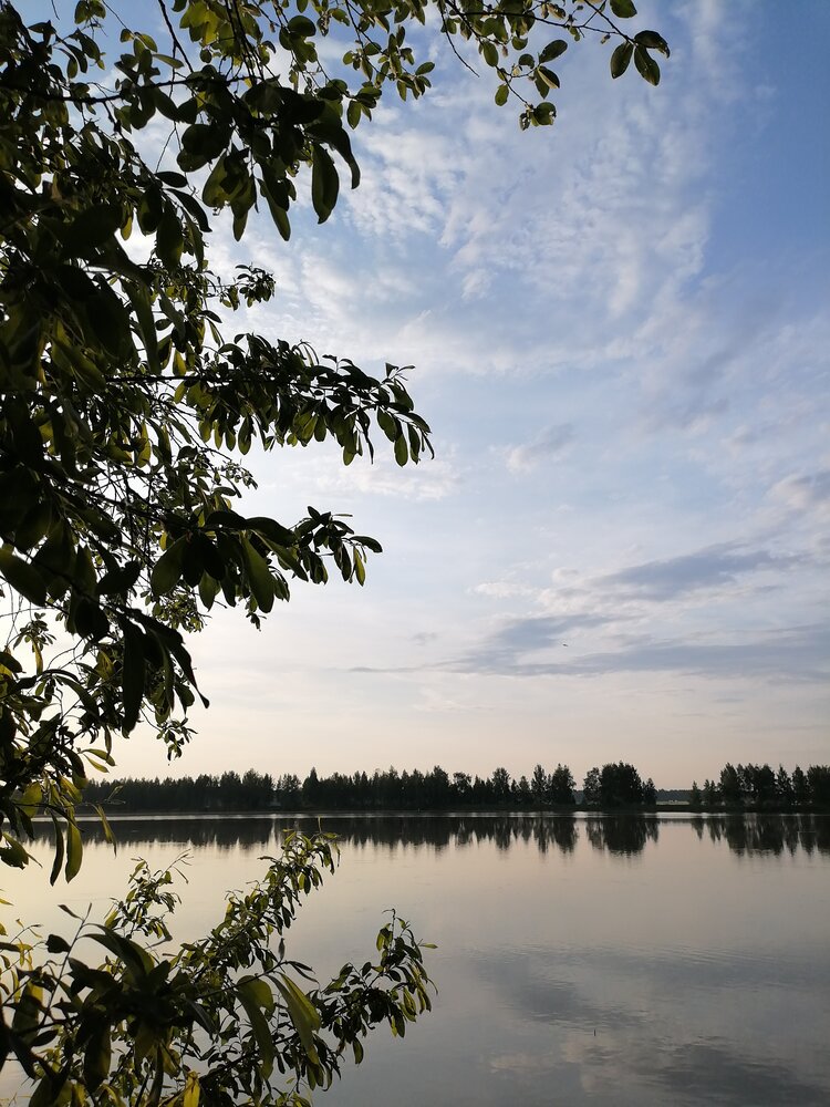Photograph by NataliR