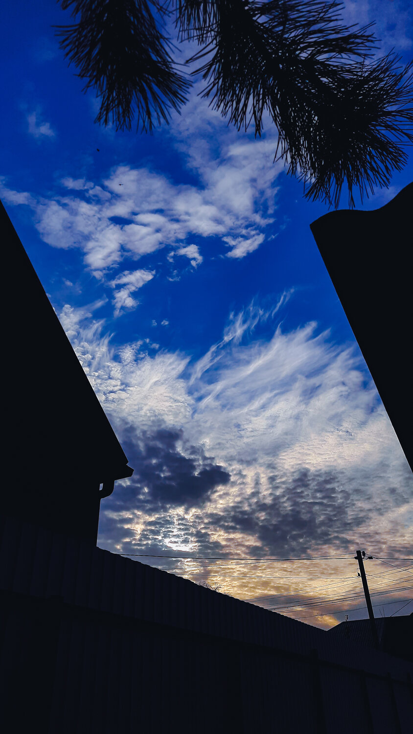 Photo #13791448
