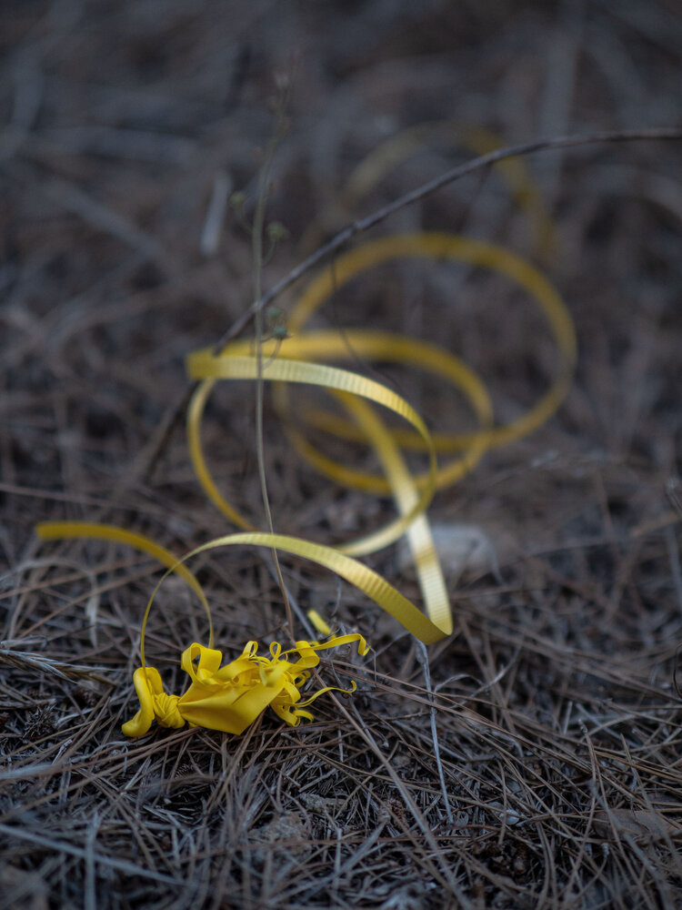 Photograph by Доляна Горохова