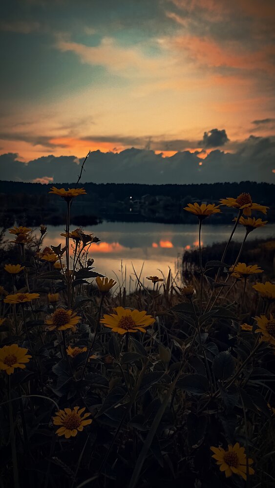 Photograph by Irina Prazdnikova