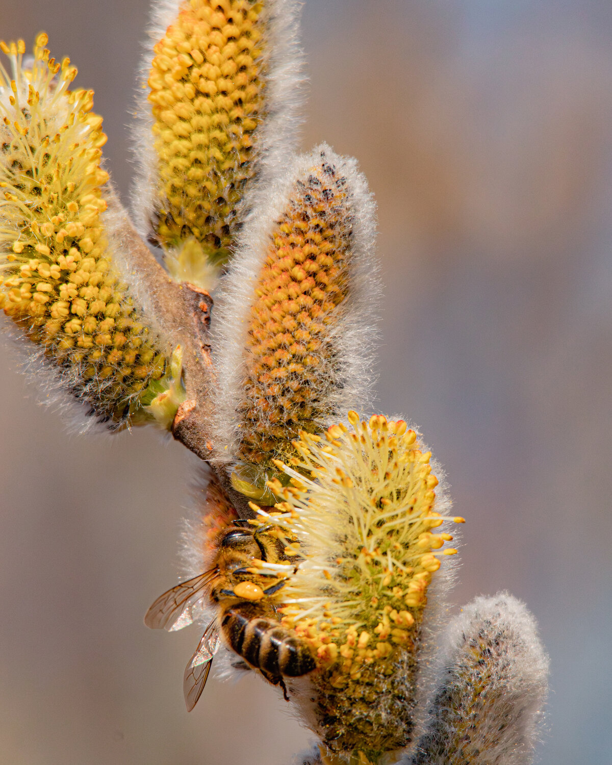Photo #13791553