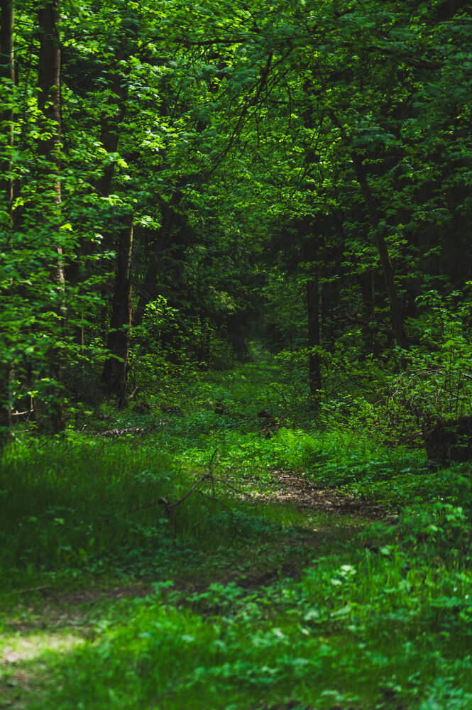 Photograph by Анастасия Юрьева
