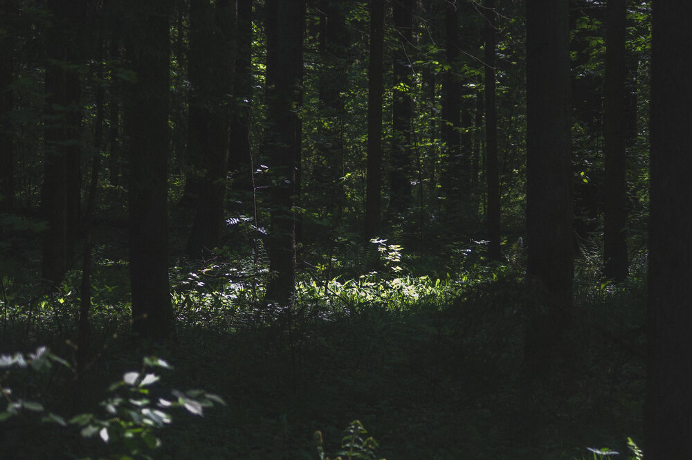 Photograph by Анастасия Юрьева