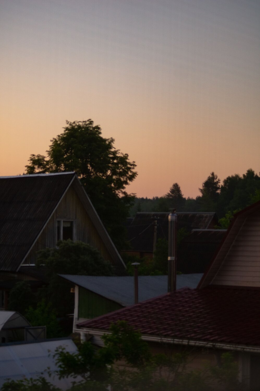 Photo #13791587