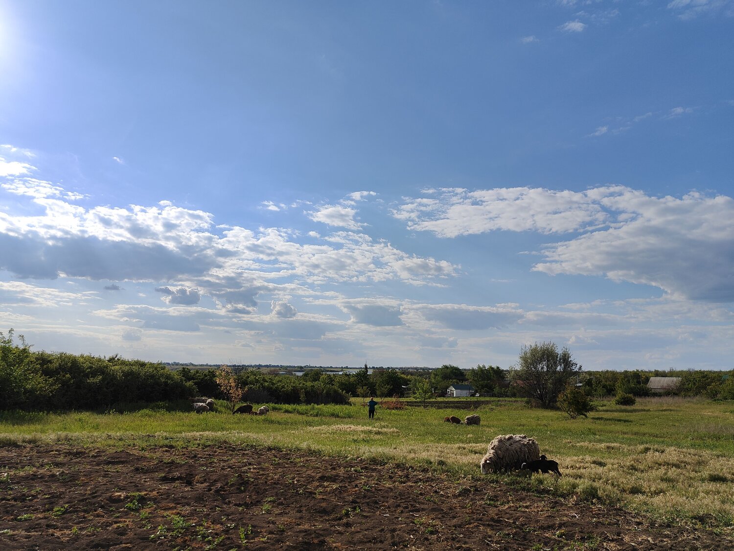 Photo #13791621