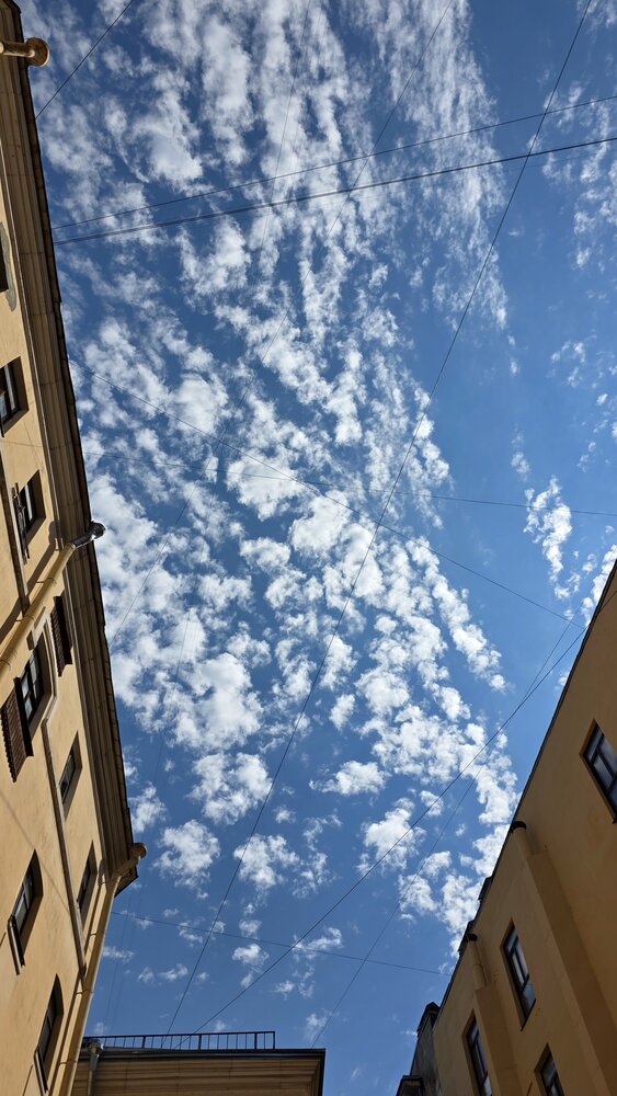 Photograph by Олег Ажгихин
