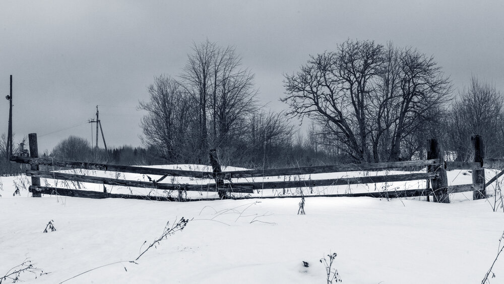 Photograph by Андрей Михайлин
