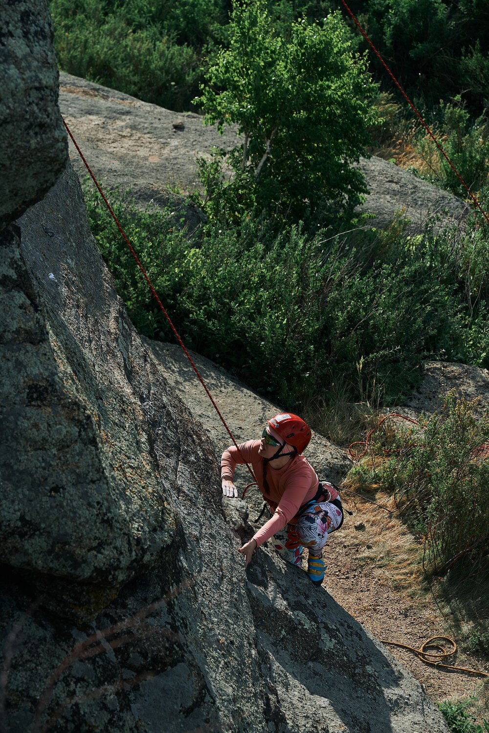 Photo #13791661