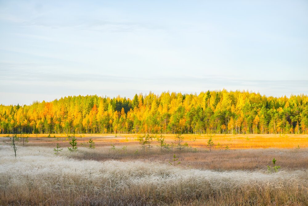 Photograph by Иван Жуков