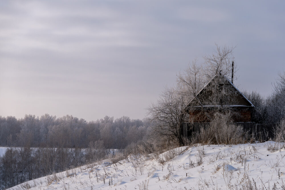 Photograph by Алексей Поликарпов