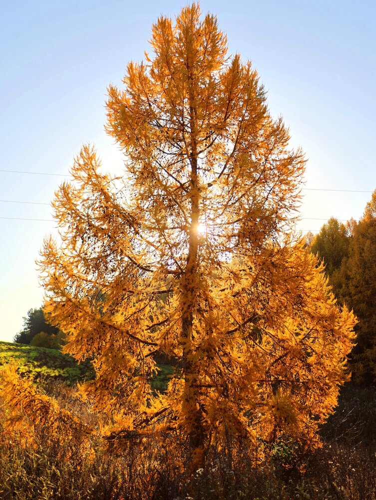 Photograph by Серёга Ануфриев