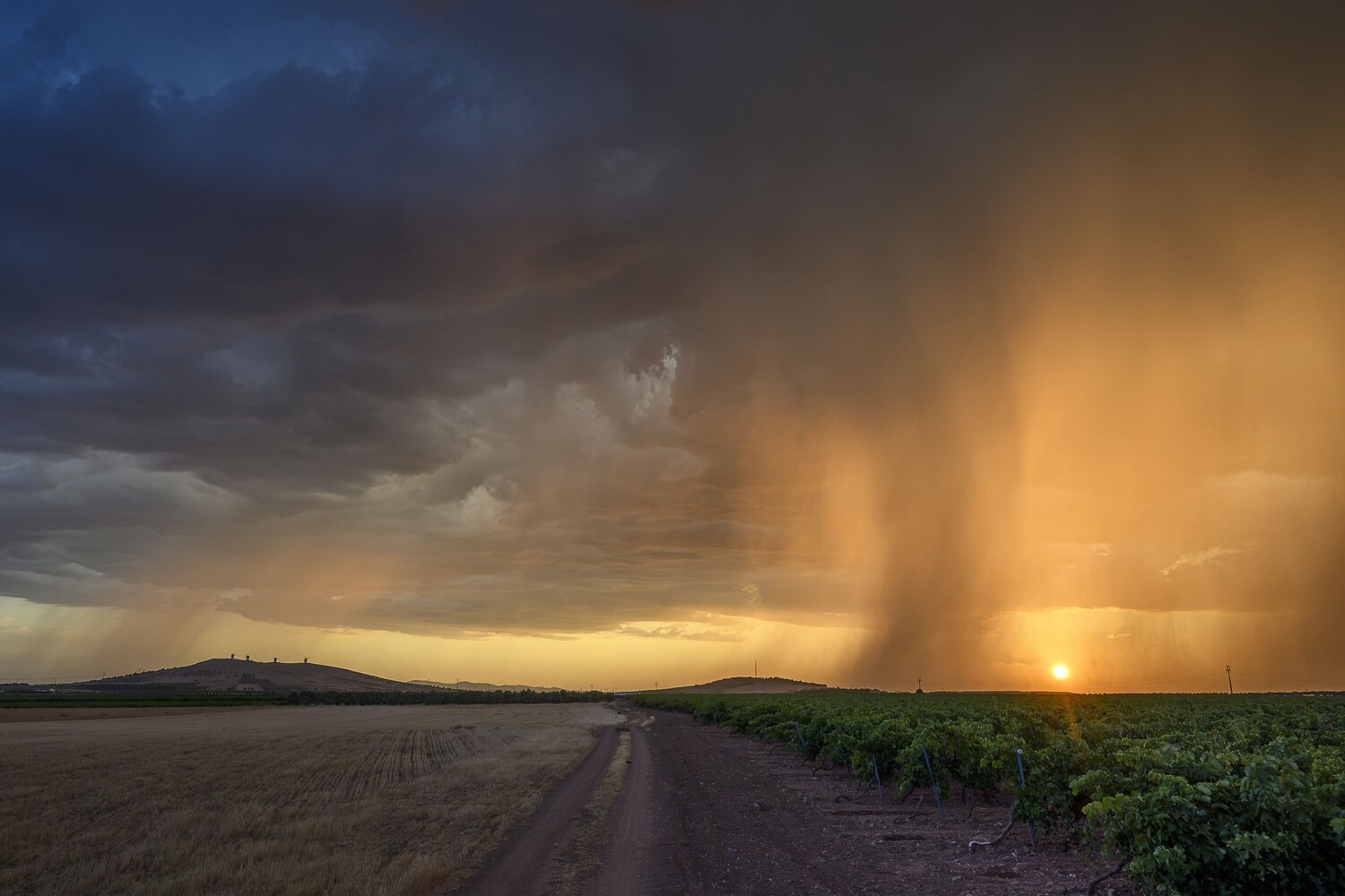 Golden rain