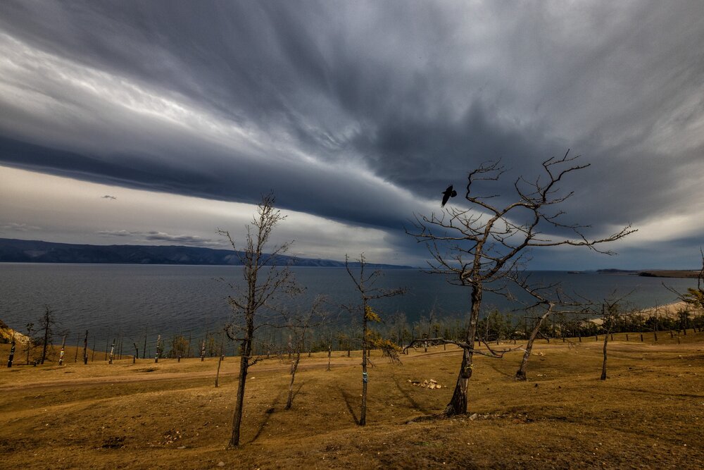 Photograph by Сергей Зорин