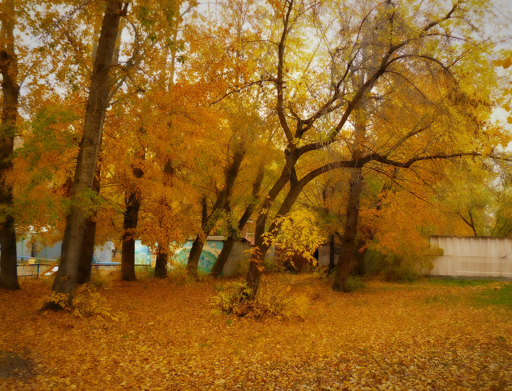 Photograph by Валерий Алфимов