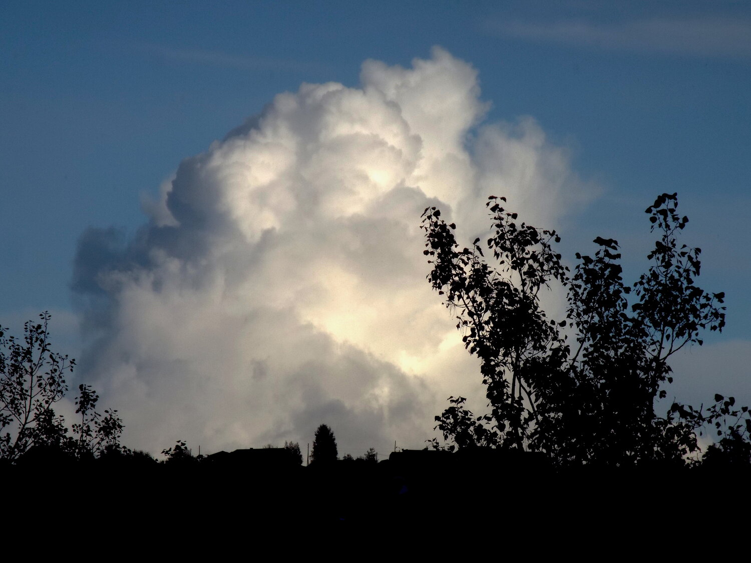 Photo #13791805
