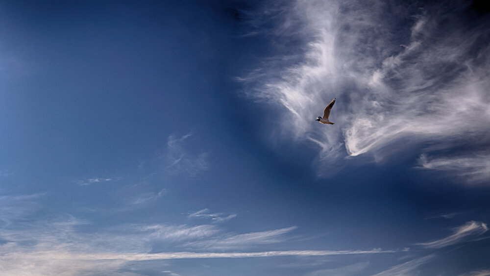 Photograph by Михаил Силантьев
