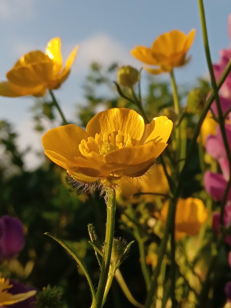 Photograph by Оксана Мельник