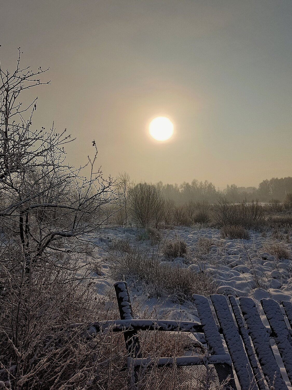 Photo #13791923
