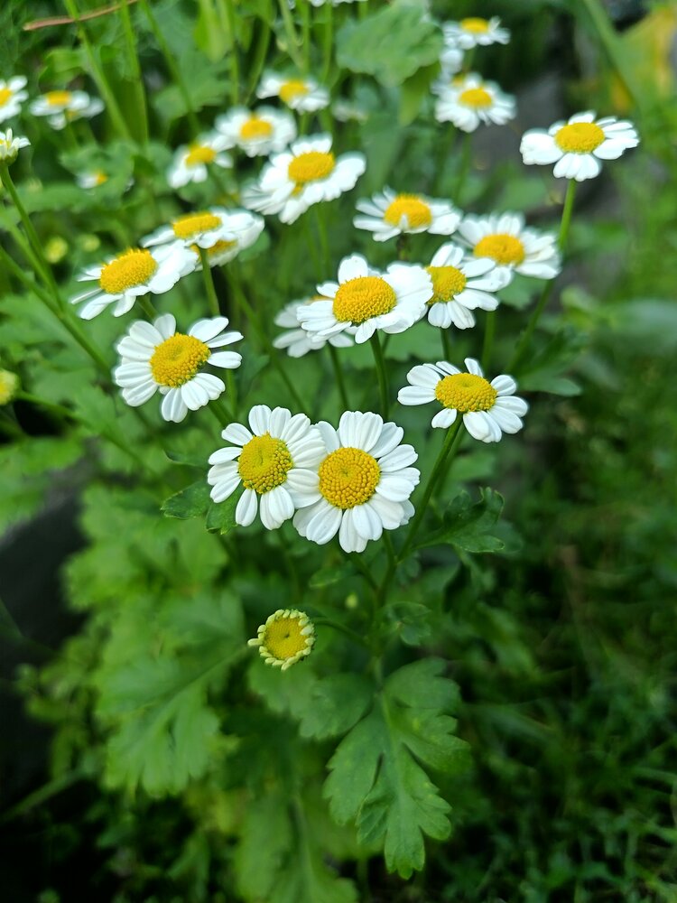 Photograph by Анна Колесникова