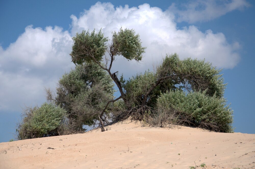 Photograph by Мария Якубовская