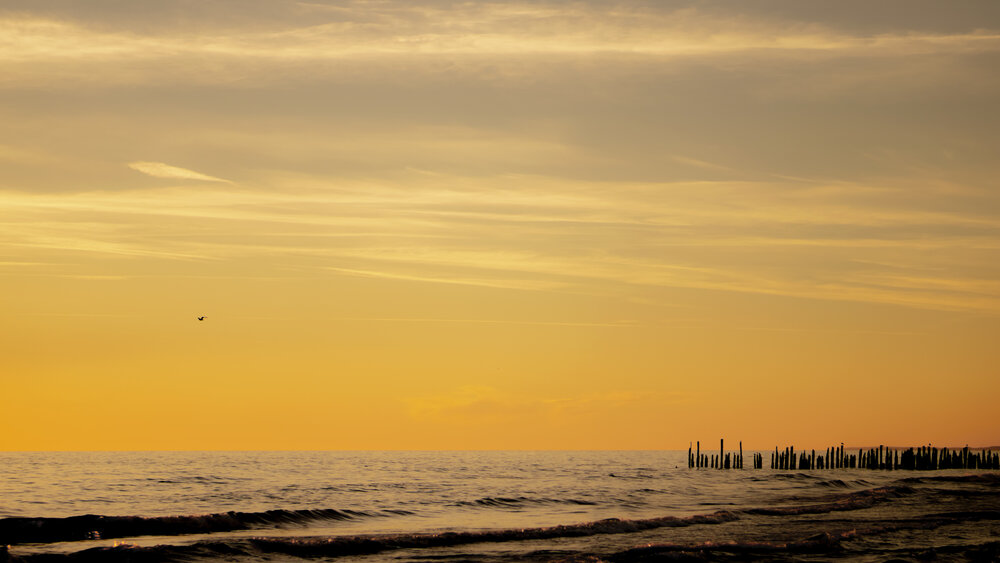 Photograph by Aiste Mickevic