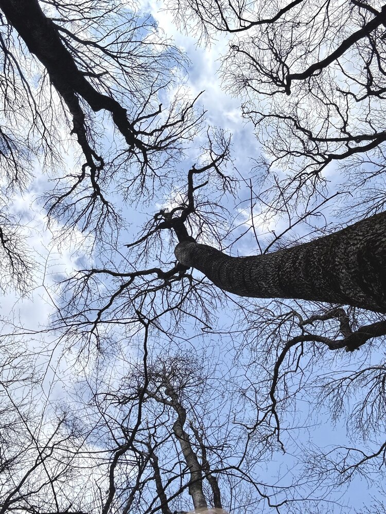 Photograph by Мария Якубовская