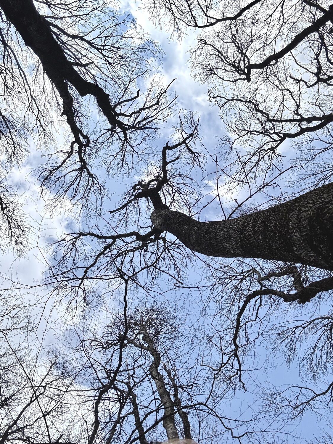 Photo #13792074
