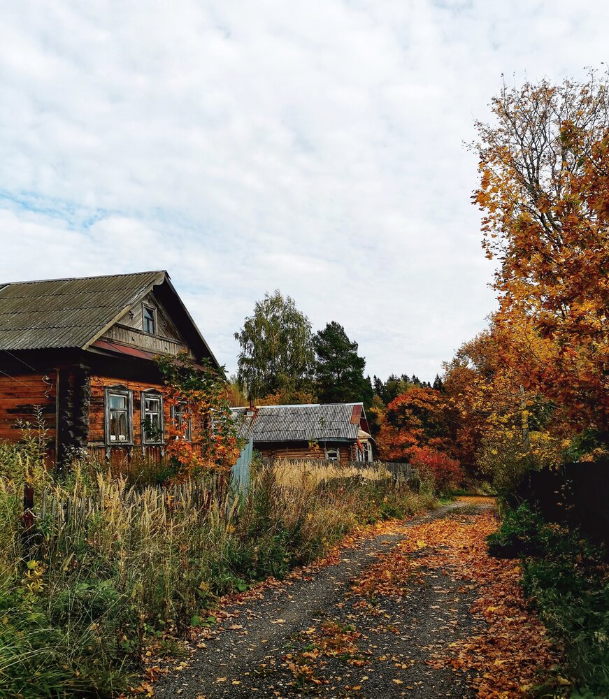 Photograph by Ярославна
