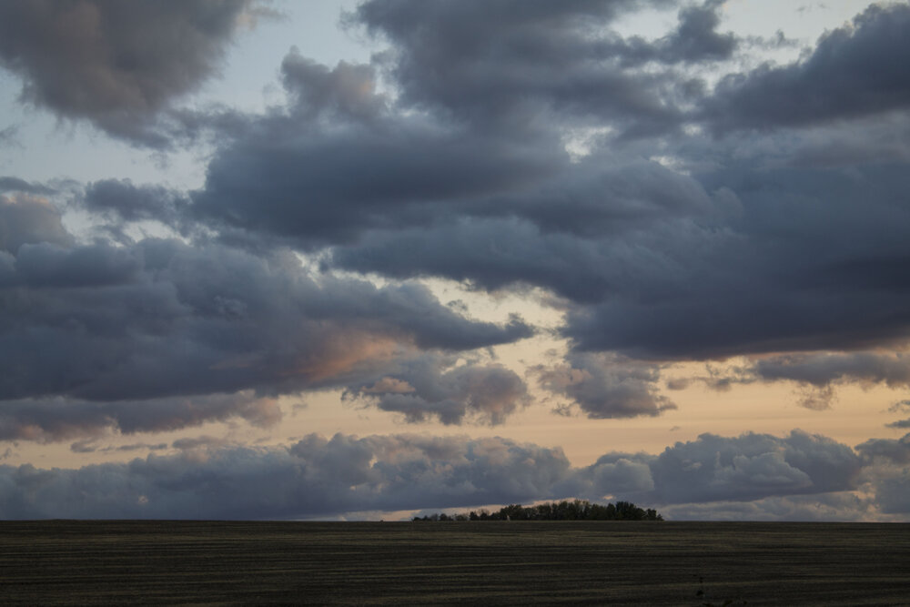 Photograph by Мария Бобылева