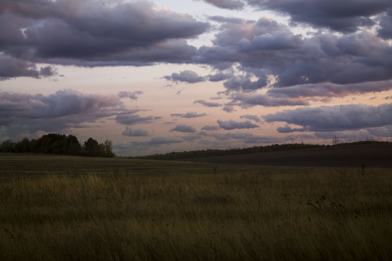 Photo #13792228
