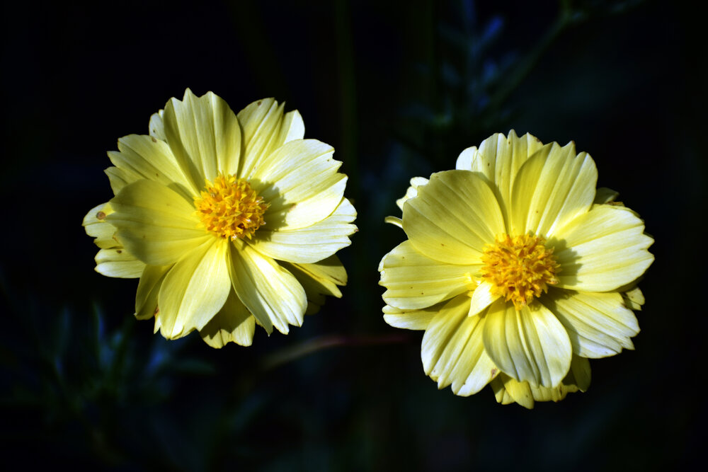 Photograph by Malatesh Garadimani